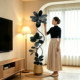 Black King Kong rubber tree simulated green plant living room decoration