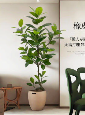 仿真绿植橡皮树高端轻奢室内客厅大型落地仿生植物落地盆栽装饰树