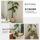 Simulated plants, fake trees, indoor living room, floor-to-ceiling large monstera, high-end bionic green plant potted decorative ornaments
