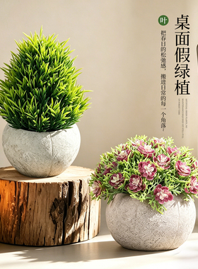 高级感仿真绿植盆栽桌面摆件