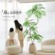 Jacaranda simulated green plants high-end light luxury living room decoration indoor large bionic plants floor-standing potted artificial flower trees