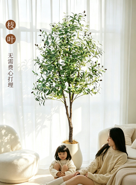 客厅电视柜旁仿真橄榄树盆栽