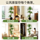 Dragon blood tree simulation green plant dragon beard tree dragon iron tree living room decoration indoor large fake plant potted floor-standing ornaments
