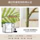 Jacaranda simulated green plants high-end light luxury living room decoration indoor large bionic plants floor-standing potted artificial flower trees
