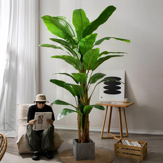 Nordic simulated green plants pomelo banana tree