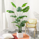 Love pomelo turtle back simulation green plant large size