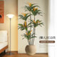 Fake green plants, red edge iron, indoor living room, high-end light luxury plant potted ornaments, high-end bionic decorative floor-standing trees