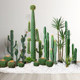 Fake green plant cactus indoor high-end light luxury landscaping landscape high-end bionic green plant tropical simulation tree
