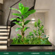Focus on commercial space landscape plants