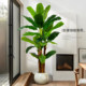 Fake plant banana tree indoor high-end light luxury simulation decorative ornaments large advanced bionic green plant floor-standing potted plant