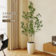 Simulated green plant Mazuimu indoor fake potted plant