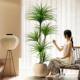 Bionic dragon blood tree simulated green plant high-end cream style living room indoor fake plant floor-standing decorative potted ornamental tree