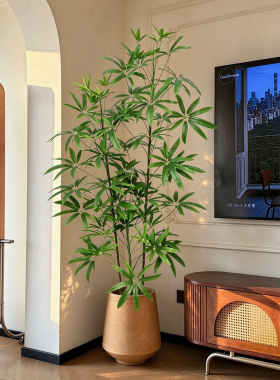 高级感细叶伞仿真植物摆件