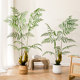 Lianyou simulated Hericium fern indoor living room decoration
