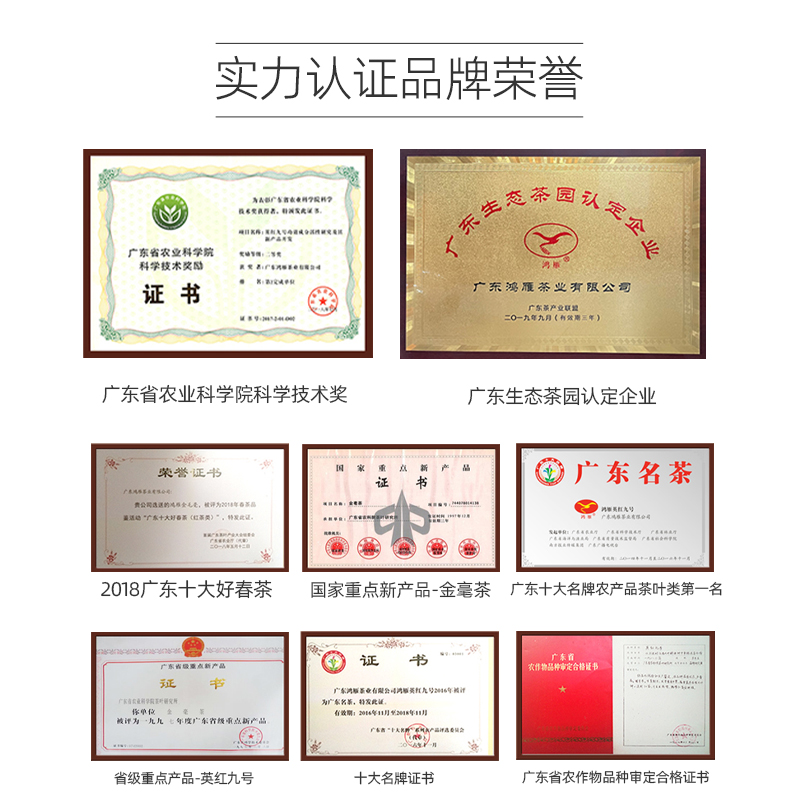 鸿雁官方旗舰店广东正宗英德红茶 鸿雁茶叶其它红茶