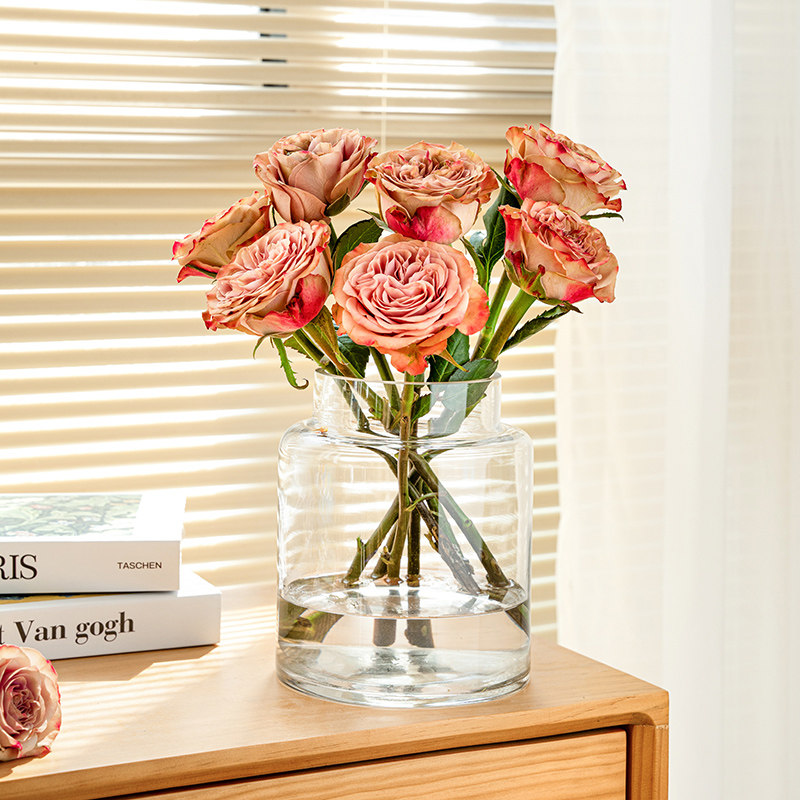 花瓶玻璃透明水养插花轻奢高级感玻璃大口径水培玫瑰鲜花客厅摆件,淘宝优惠券,粉丝福利购,淘宝优惠卷