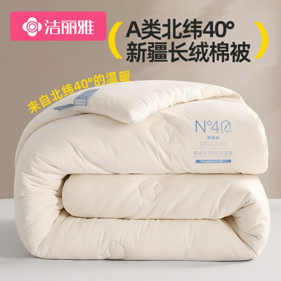 Jie Liya Xinjiang cotton quilt core winter spring and autumn