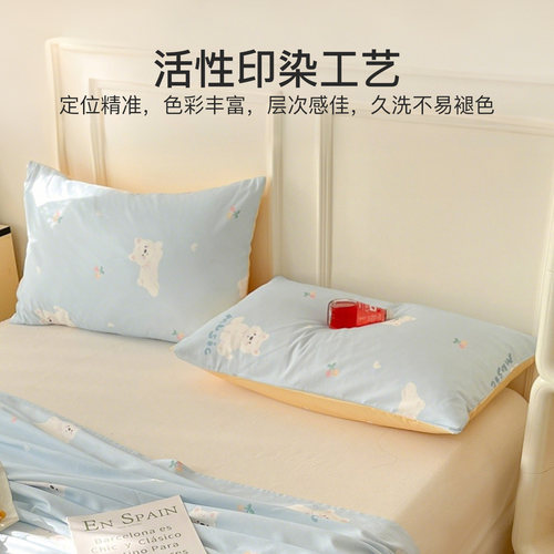 洁丽雅枕套一对装纯棉100全棉套装枕头套单个枕芯内胆套48cmx74cm - 图1