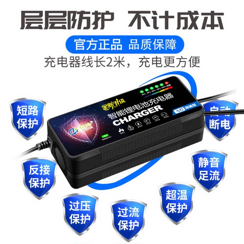 锂电池充电器48V60V72V适用星恒雅迪24V36V24A电瓶12V专用54.6V3A - 图2