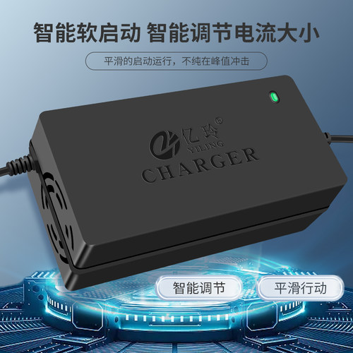 24V充电器24伏12AH铅酸电池智能电动轮椅小海豚电瓶车碰碰车通用V - 图2