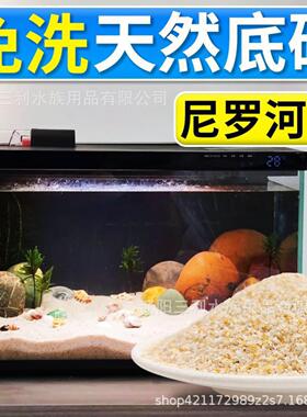 寄居蟹沙鱼缸造景底沙尼罗河沙