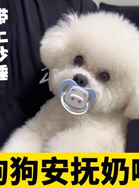 比熊犬专用奶嘴狗狗安抚小狗宠物