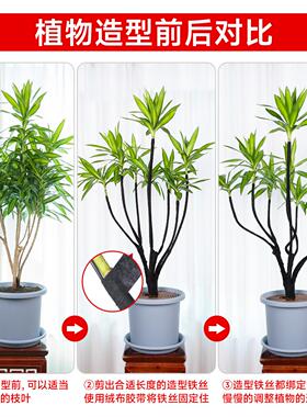园艺盆景铁线造型专用扎线软蟠扎