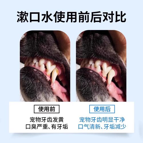 Dma冬马益生菌漱口水狗狗牙结石猫咪洁牙口腔清洁口臭宠物洁齿水 - 图1
