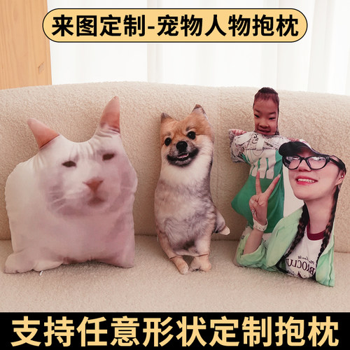 丑猫抱枕定制印照片定做异形玩偶宠物枕头猫狗仿真礼物靠枕靠垫子 - 图0