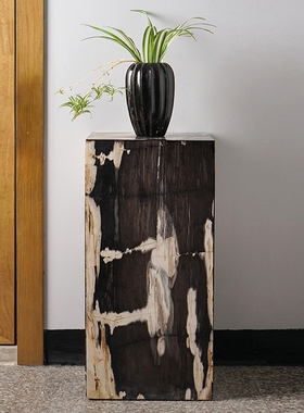 寓石林木化石展示台简约黑白纹理