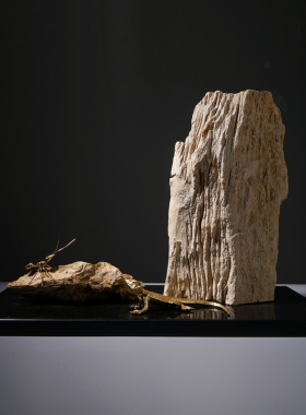 软装样板房间办公室孤品木化石