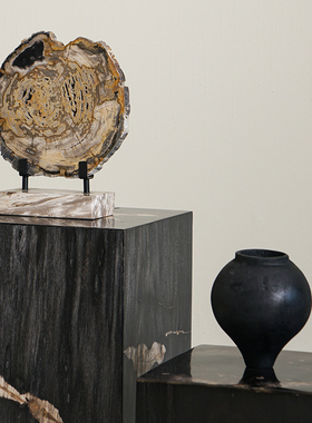 高档切片摆件树化石艺术装饰设计空间 轻奢饰品木化石博古架桌面