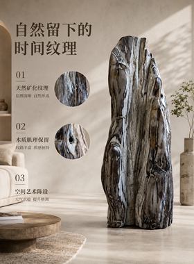 轻奢天然木化石落地摆件客厅装饰品创意艺术品树化玉玄关摆饰收藏