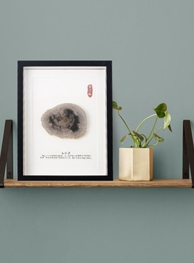 石林切片挂框简约风装饰画树化石