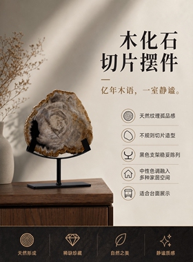 切片单杆铁艺木化石天然装饰摆件前台摆设家居软装设计玉石带底座