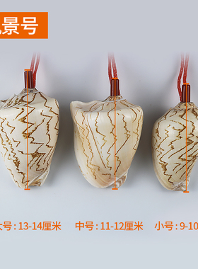 贝艺喇叭超大哨子儿童玩具海螺