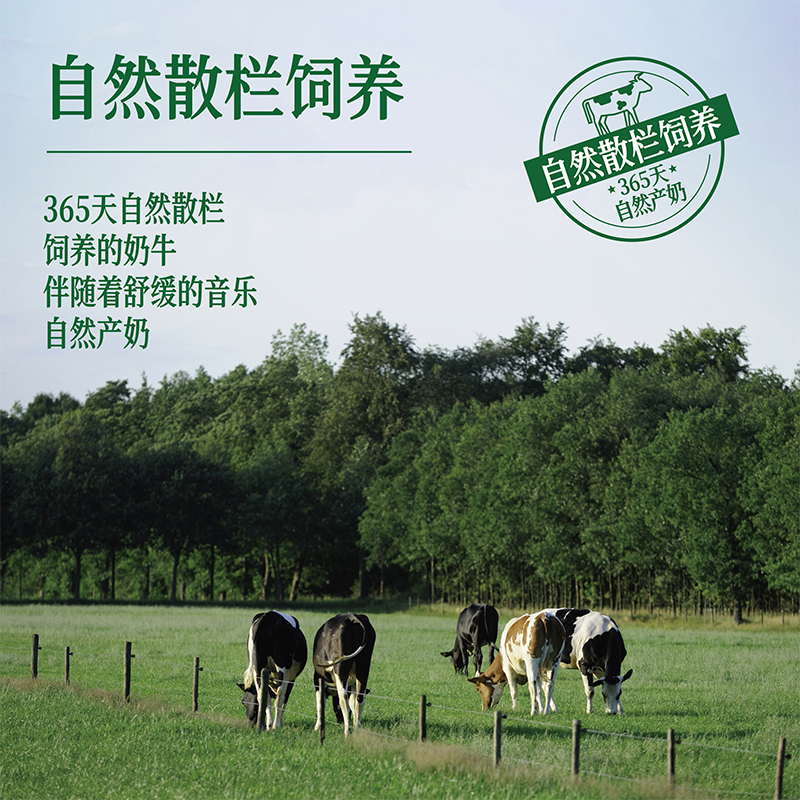 新希望纯牛奶整箱批发华西洪雅牧场盒装送礼200ml营养学生儿童