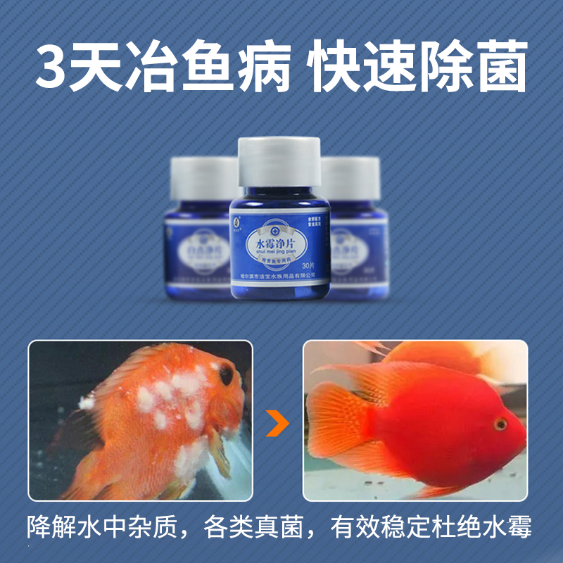 观赏鱼淡水海水热带调理白毛白点净化水质腐身裂鳍小瓜从外寄专用 - 图0