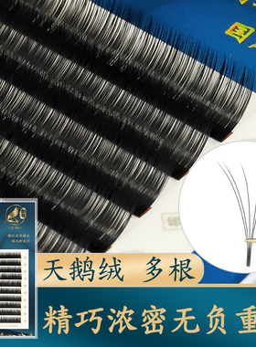 0.07太阳花单根多取嫁接睫毛鹊杉