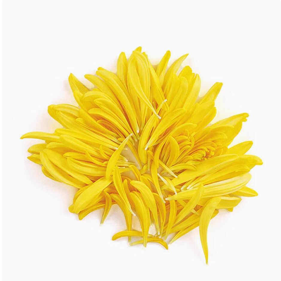 新鲜 黄菊花花瓣 黄菊花瓣 酸菜鱼火锅西餐摆盘装饰菜草菜品点缀