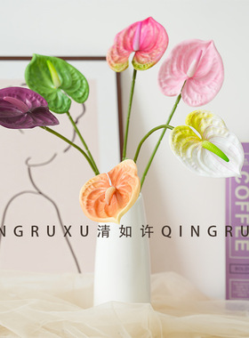 多色小红掌 单支莫兰迪色红掌家居花艺 插花配材迷你红掌仿真盆栽