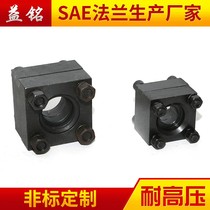 Marine method Lan JB4485 Hydraulic date marking method Lanstainless steel carbon steel galvanized non-standard hydraulic oil pump