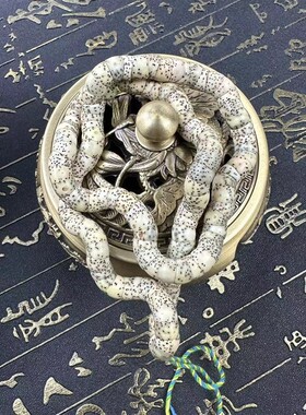 藏式斜切星月菩提原生态鸡油黄猪大肠扇面男女款文玩手串手持把玩