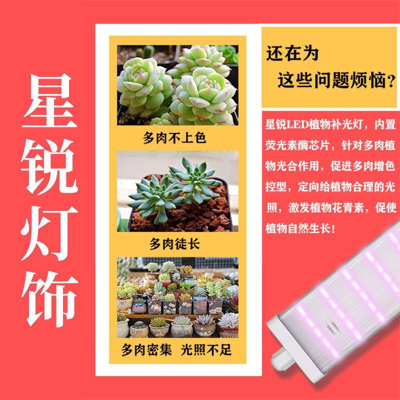 星锐多肉补光灯家用上色全光谱多肉灯植物补光灯仿太阳光室内绿植,淘宝优惠券,粉丝福利购,淘宝优惠卷
