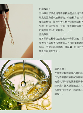 初榨橄榄油精油精油基础油原料
