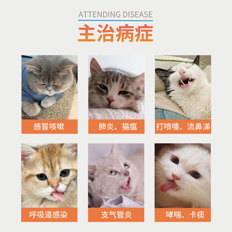 宠物盐酸多西环素片猫咪狗狗鼻支咳嗽感冒猫口炎发炎抗菌消炎药,淘宝优惠券,粉丝福利购,淘宝优惠卷