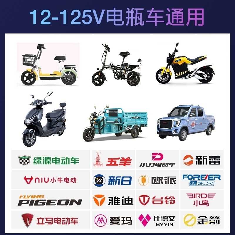 电动车太阳能增程续航器48v60v72v智能稳压边跑边充电风力X发电机 - 图0