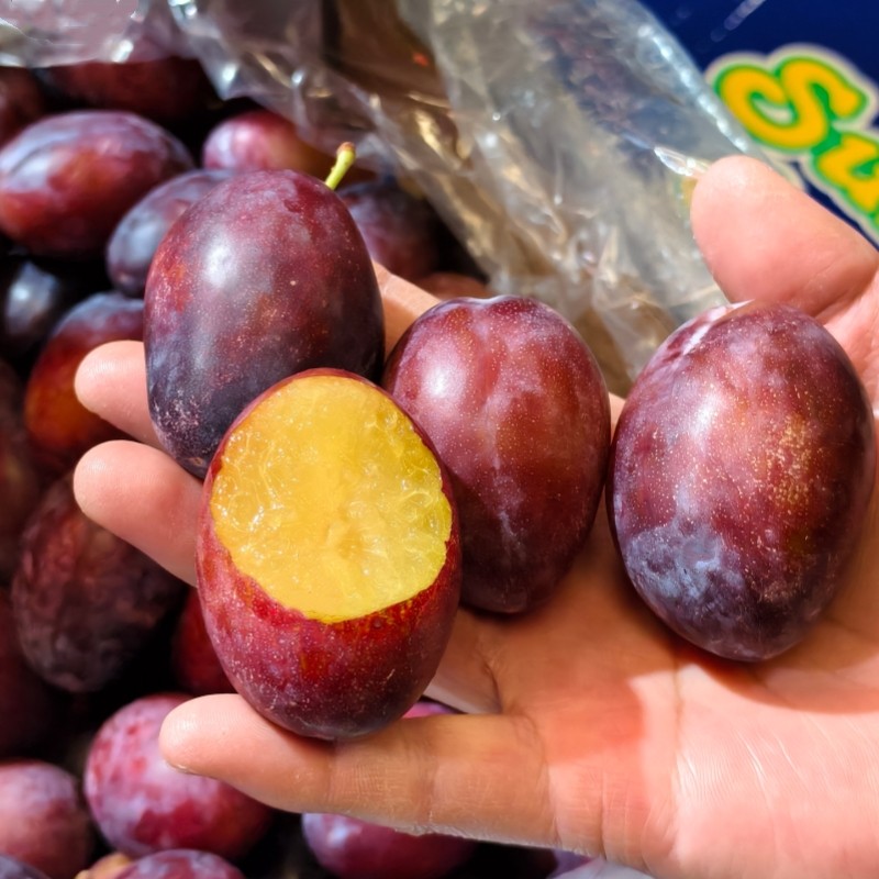 澳洲西梅5斤澳大利亚进口大西梅当季新鲜水果李子纯甜多汁包邮,淘宝优惠券,粉丝福利购,淘宝优惠卷