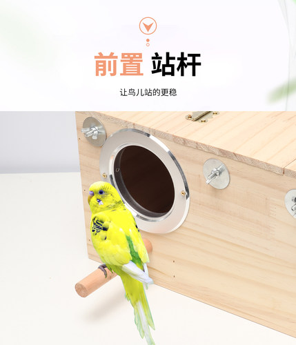 玄凤虎皮牡丹鹦鹉鸟用繁殖箱保暖鸟窝实木鸟巢鸟用品竖式鸟笼配件 - 图0