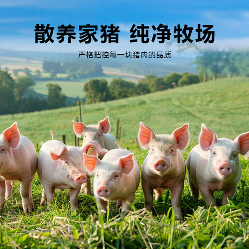 正宗风干手撕猪肉干肉质紧实有嚼劲追剧休闲办公小零食 - 图2